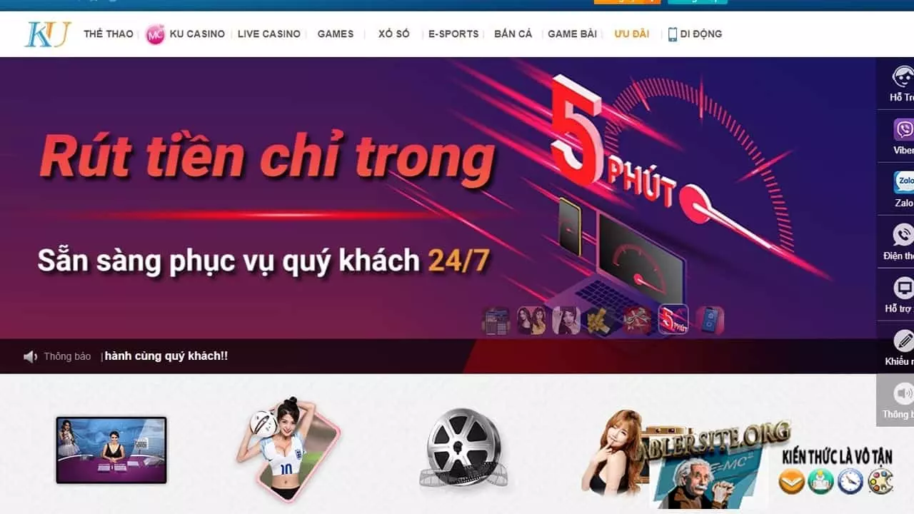 Top 7 trang web cá độ bóng đá online uy tín nhất Việt Nam