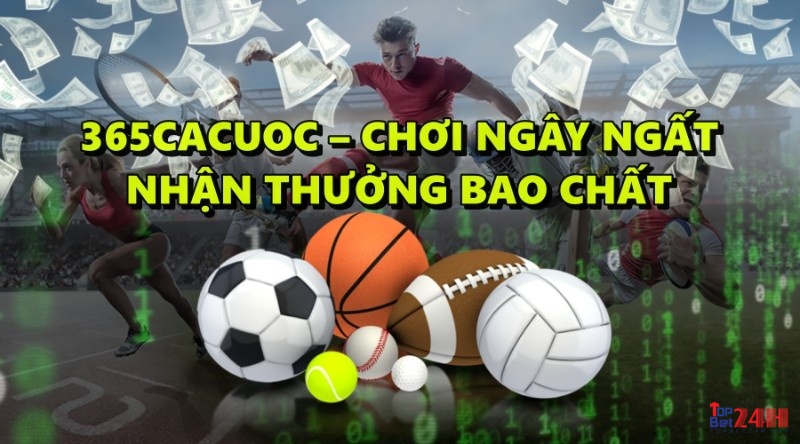 365cacuoc – Chơi ngây ngất nhận thưởng bao chất