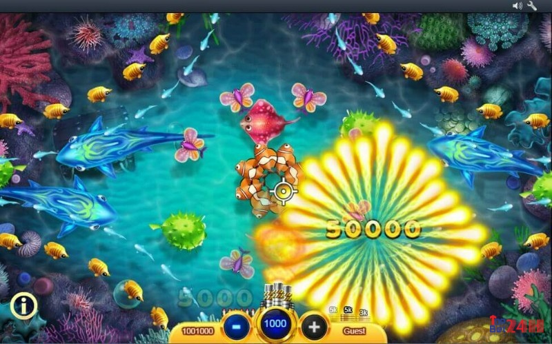 Thuật ngữ cần nhớ khi choi game ban ca online