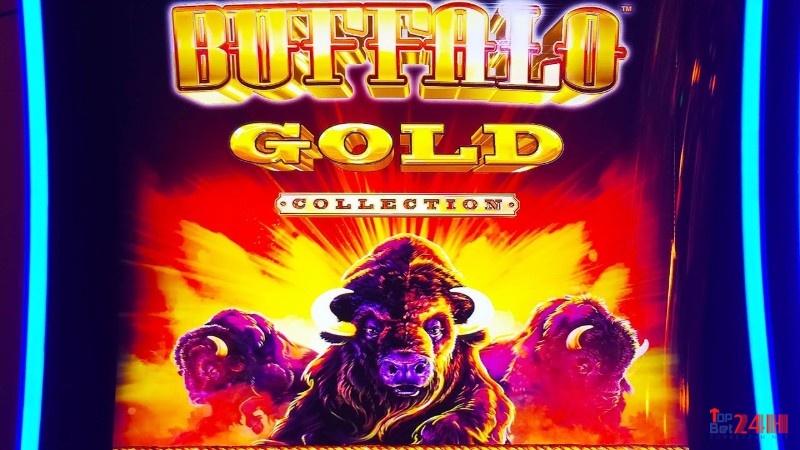 Tìm hiểu chi tiết về game BUFFALO GOLD COLLECTION cùng TOPBET nhé!