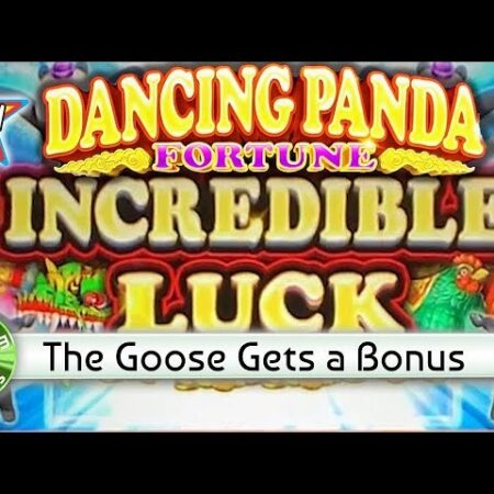 Game DANCING PANDA FORTUNE: Slot game gấu trúc thú vị