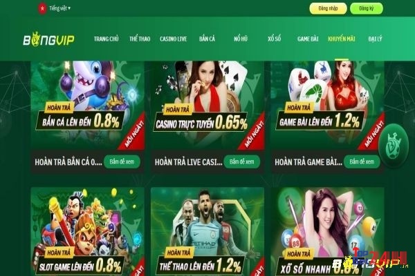 Bongvip đa dạng loại hình cá cược cho anh em lựa chọn