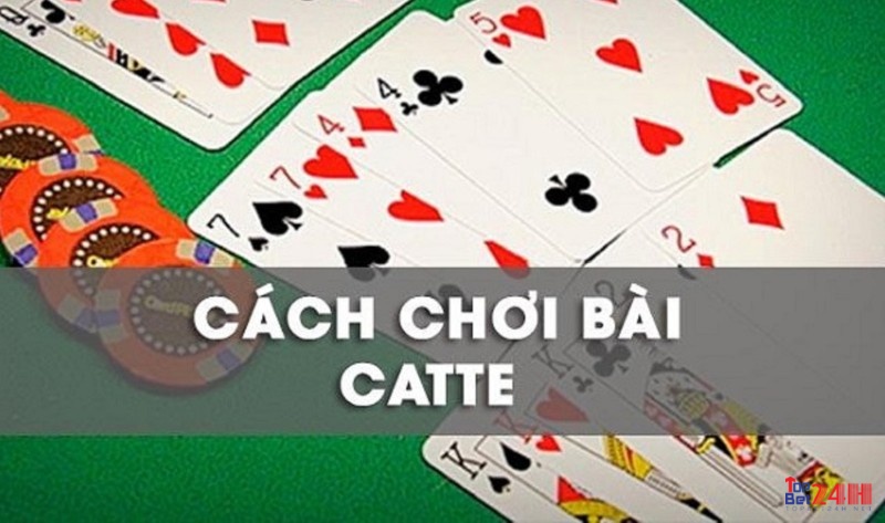 Cùng tìm hiểu về cách chơi bài catte qua các vòng đánh nhé