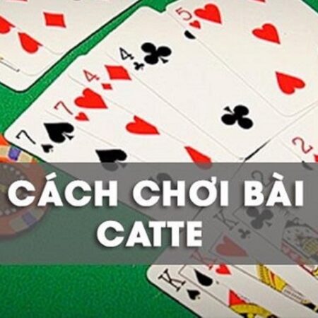 Cách chơi bài catte cho người mới và chiến thuật dễ thắng