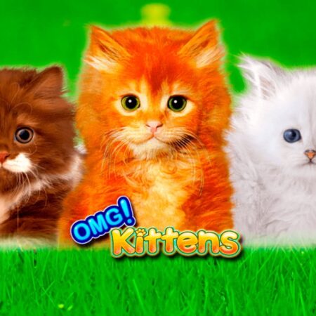 OMG Kittens: Khám phá slot 5 cuộn và 40 dòng thanh toán