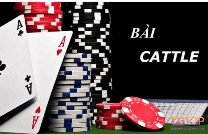 Giới thiệu game bài catte và nguồn gốc trò chơi