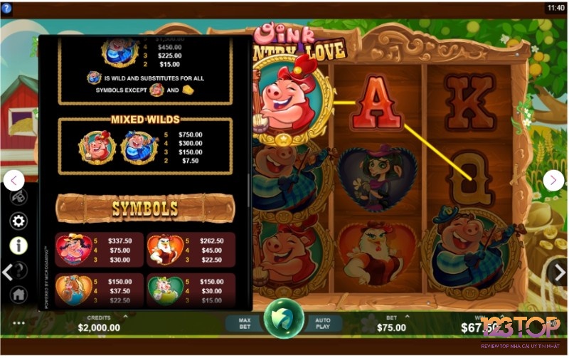 Oink Country Love slot có hai biểu tượng Wild